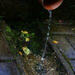 Jakie rodzaje kawy da się obecnie kupić