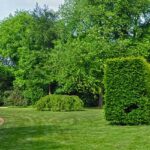 Jak może przebiegać współpraca pośredników nieruchomości z architektami ogrodów