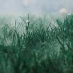 Odzież robocza odblaskowa – do jakich celów jest stosowana