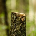 Jakie rodzaje usług mają w ofercie firmy zajmujące się obrabianiem metali