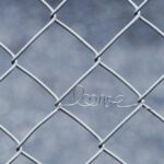 Jak odpowiednio pielęgnować rośliny w ogrodzie